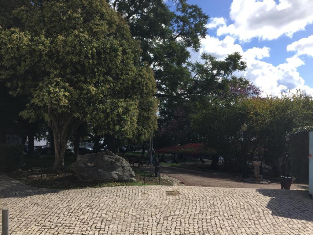 Cozy Estrela Apartment リスボン エクステリア 写真